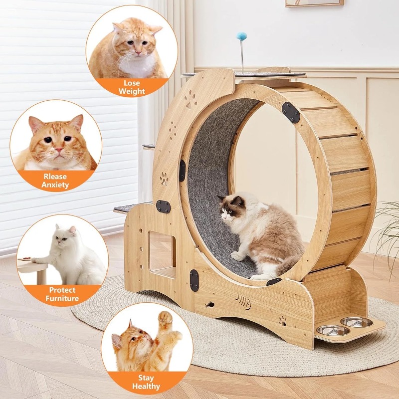 Juguete interactivo de alta ca - Cat Running Wheel Exercise Treadmill reseña y precio