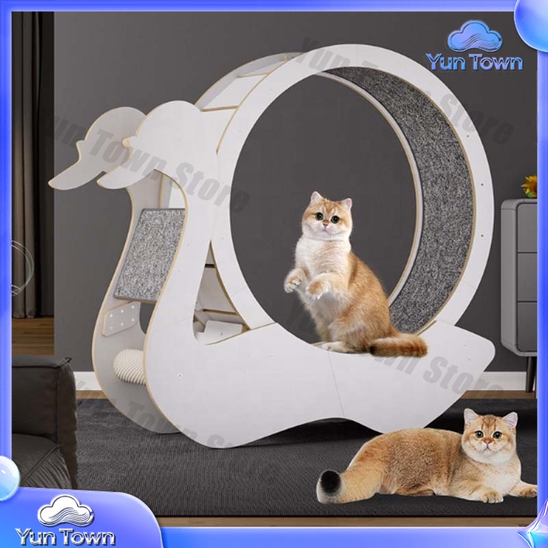 Rueda de Ejercicio para Gatos  - Cat Running Wheel Exercise Treadmill reseña y precio