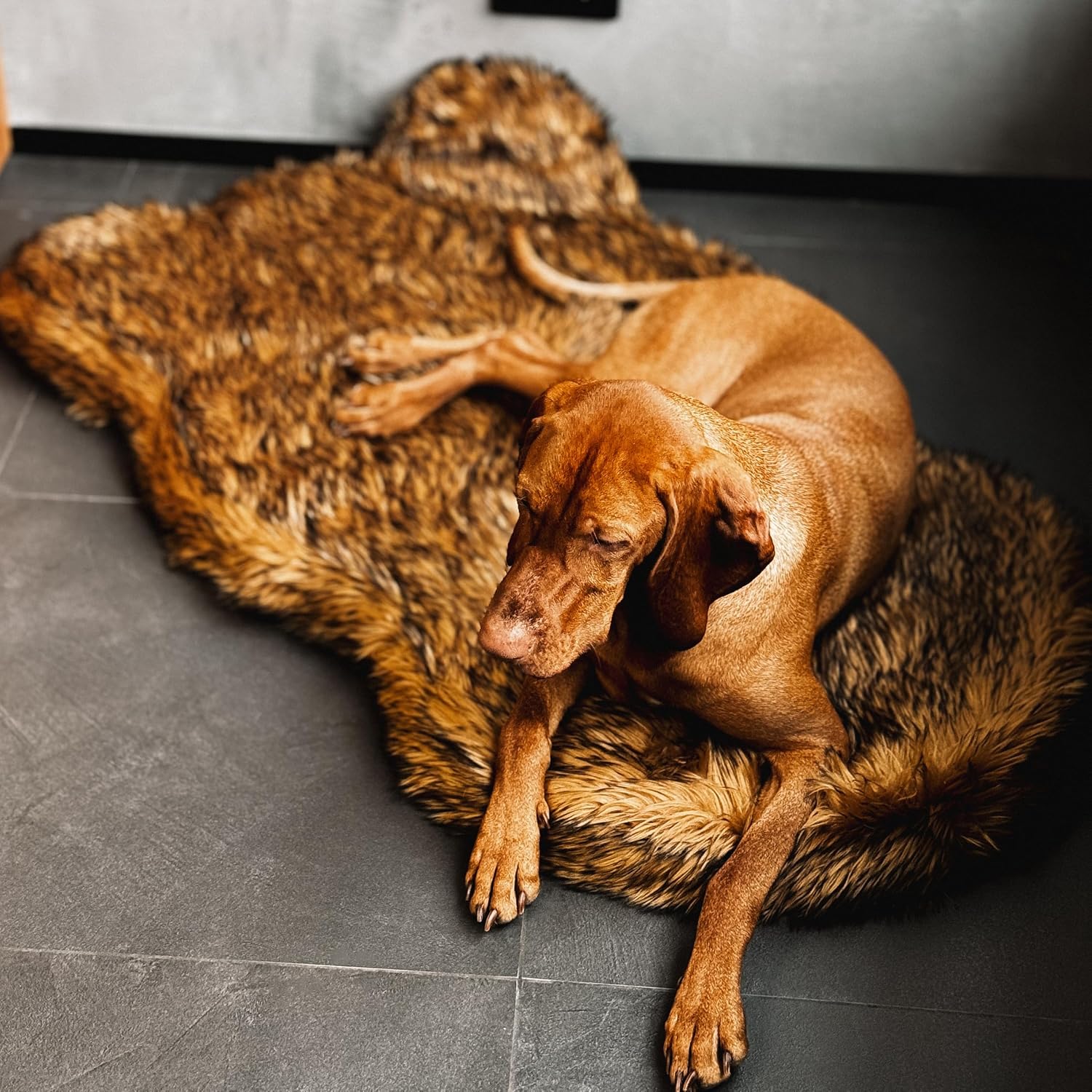 Cama ortopédica para perros de - Orthopedic Memory Foam Dog Bed Washable reseña y precio