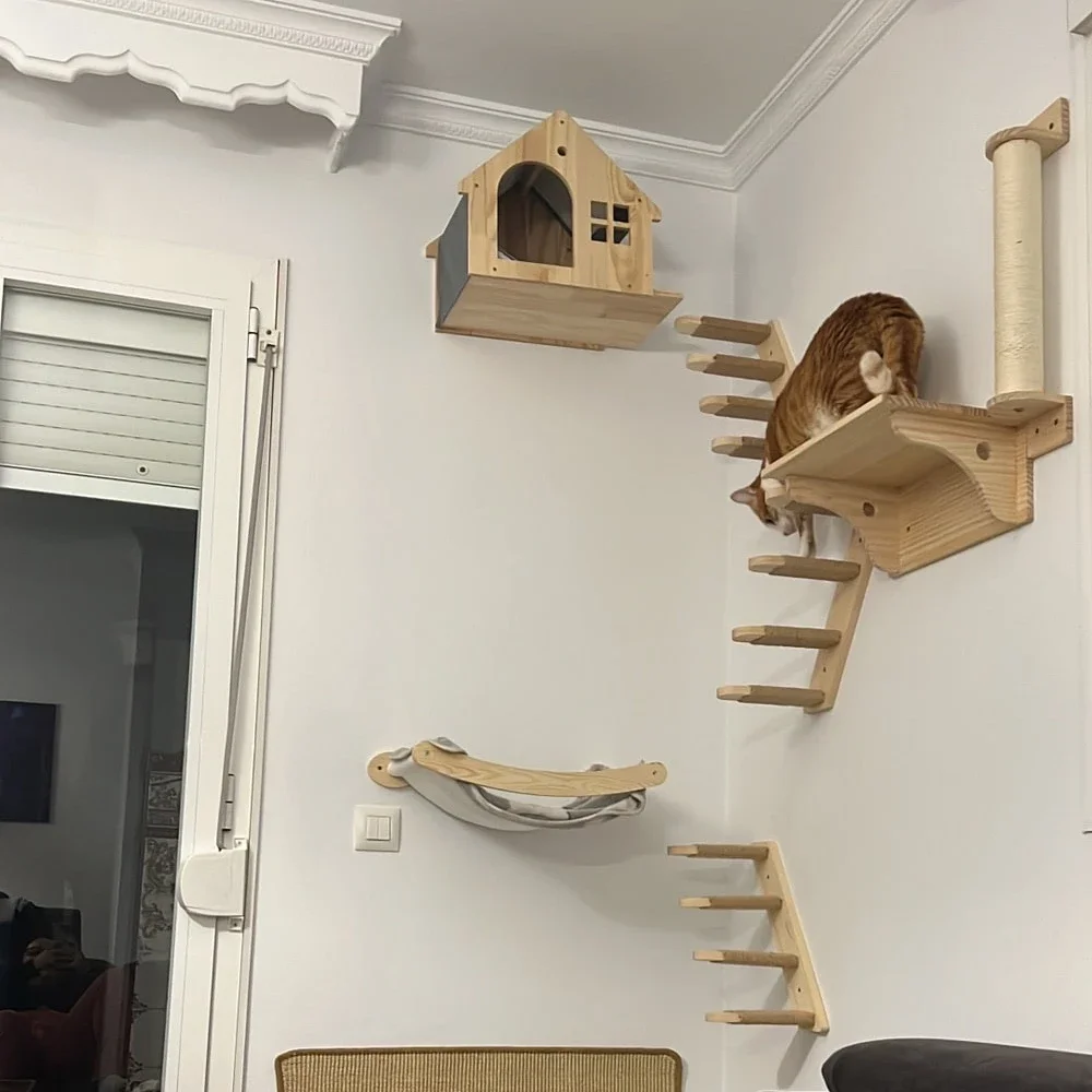 Estantes de escalada de madera - Cat Wall Climbing Shelves Hammock Wooden reseña y precio