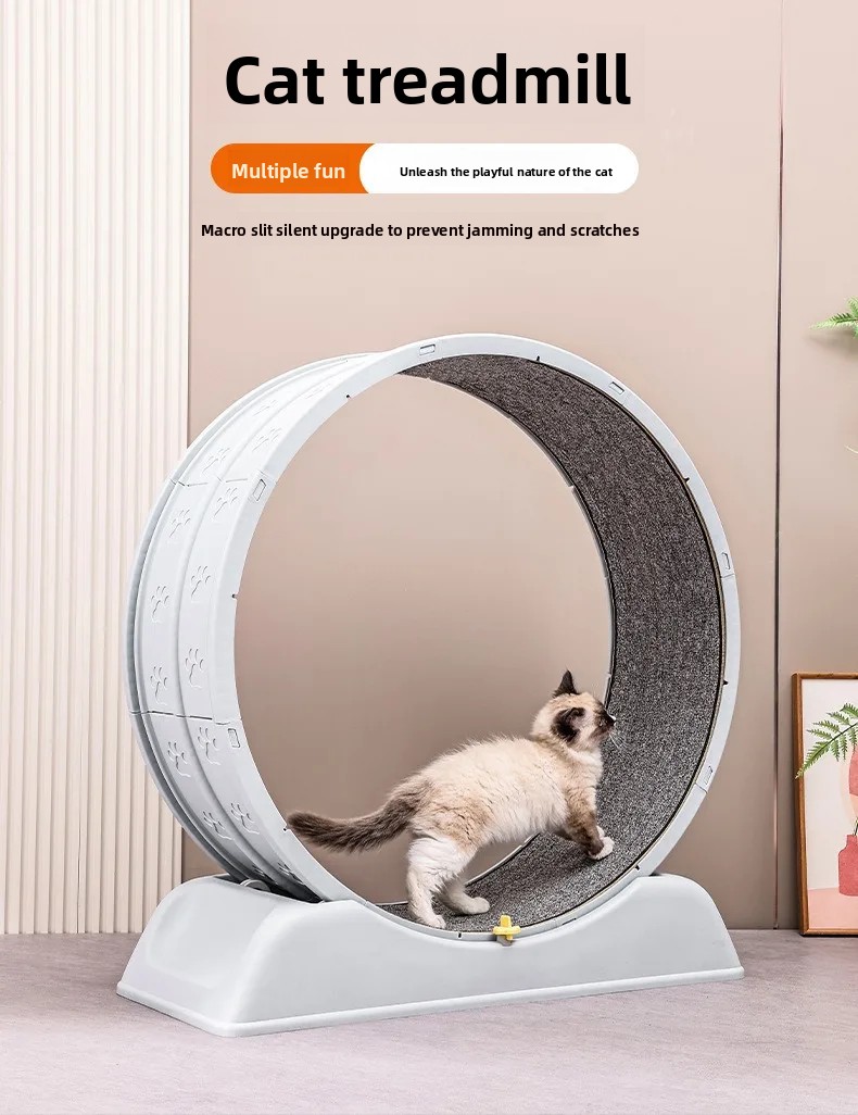 Nueva cinta de correr para gat - Cat Running Wheel Exercise Treadmill reseña y precio